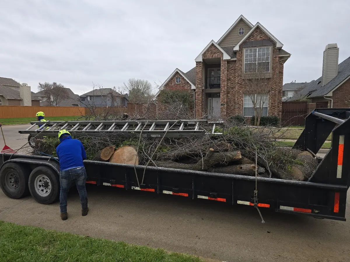 Expert Tree Pest Control with proper safety equipment in Liberty Hill
